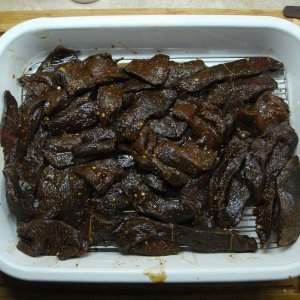 Venison Jerky 1.JPG