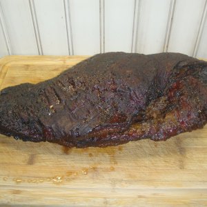 Brisket Apr 2023 3.JPG