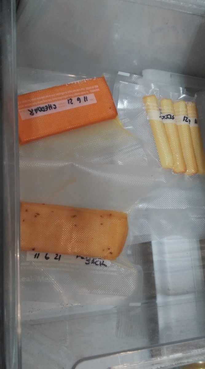 smoked cheese resting.jpg